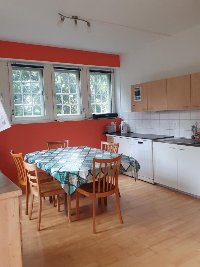 Zentral Gelegene Wohnung Mit Grossem Garten Interlaken Esterno foto