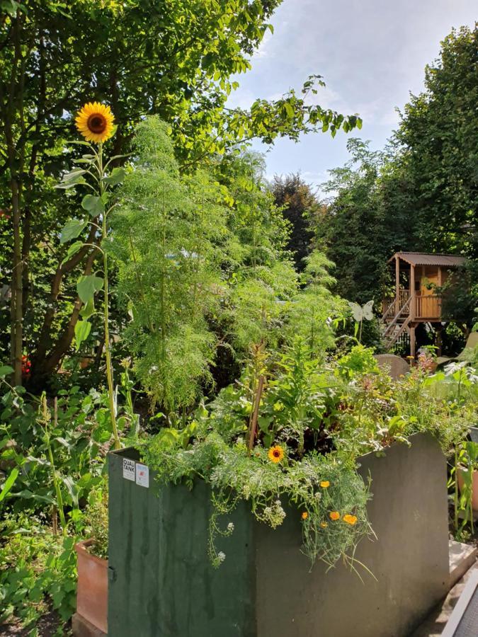 Zentral Gelegene Wohnung Mit Grossem Garten Interlaken Esterno foto