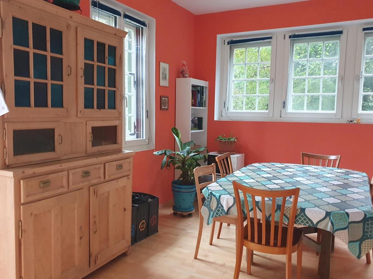 Zentral Gelegene Wohnung Mit Grossem Garten Interlaken Esterno foto